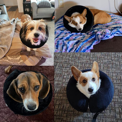 CloudComfort Recovery Collar