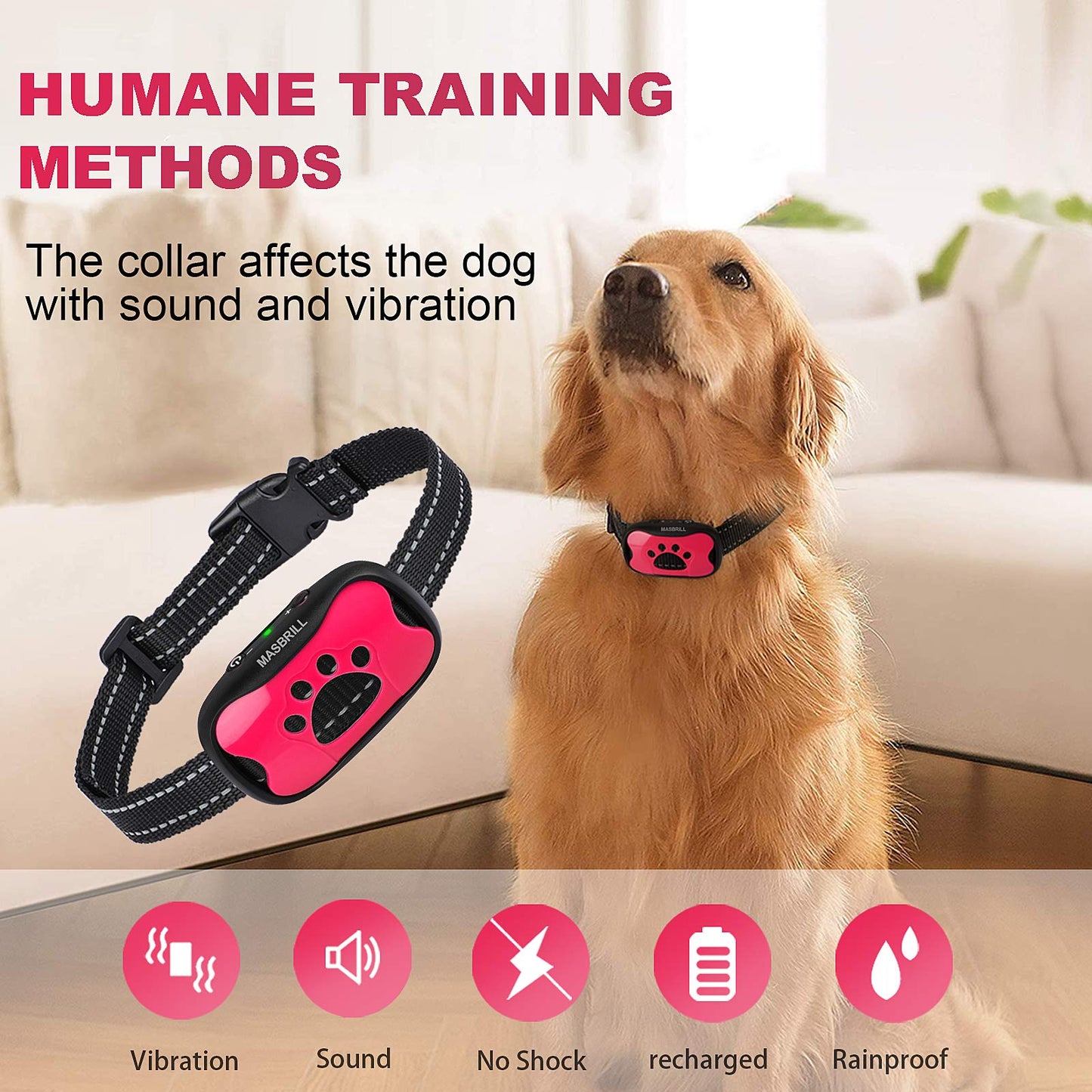QuietPaw Training Collar