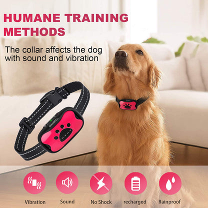 QuietPaw Training Collar