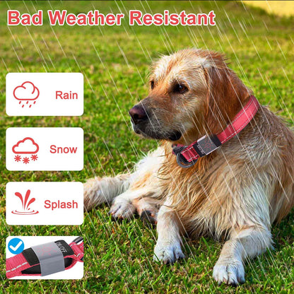 ComfortGlow Dog Collar