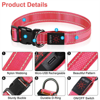 ComfortGlow Dog Collar