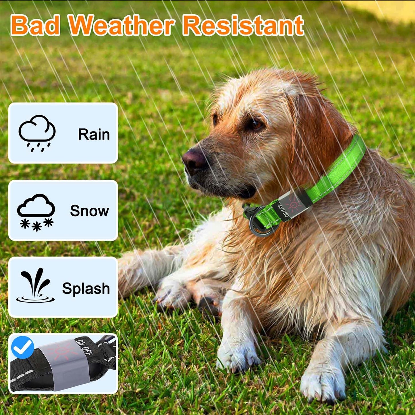 ComfortGlow Dog Collar