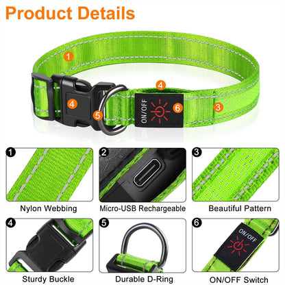 ComfortGlow Dog Collar