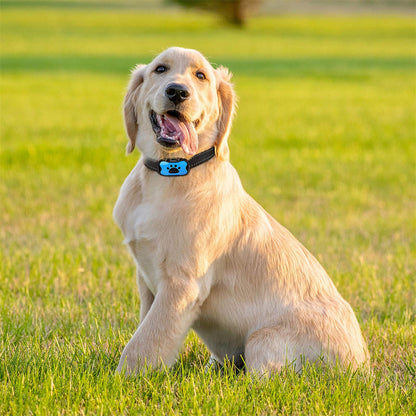 QuietPaw Training Collar