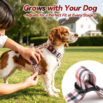 AdventureFit Dog Harness