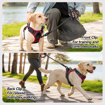SecureFit Dog Harness