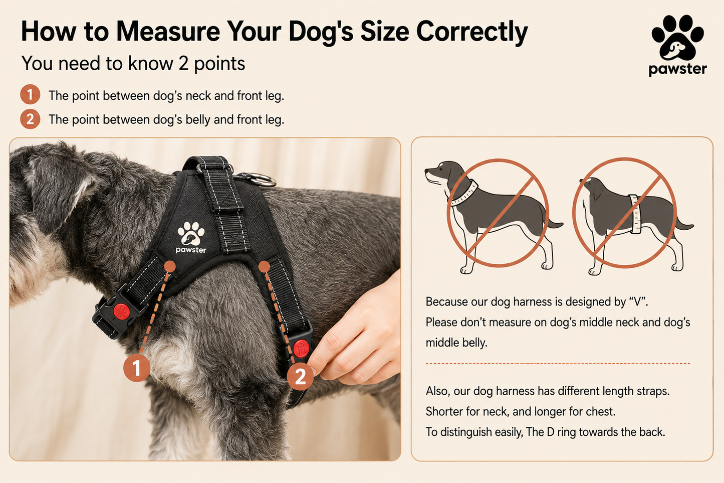Pawster No-Pull Dog Harness