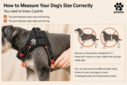 Pawster No-Pull Dog Harness