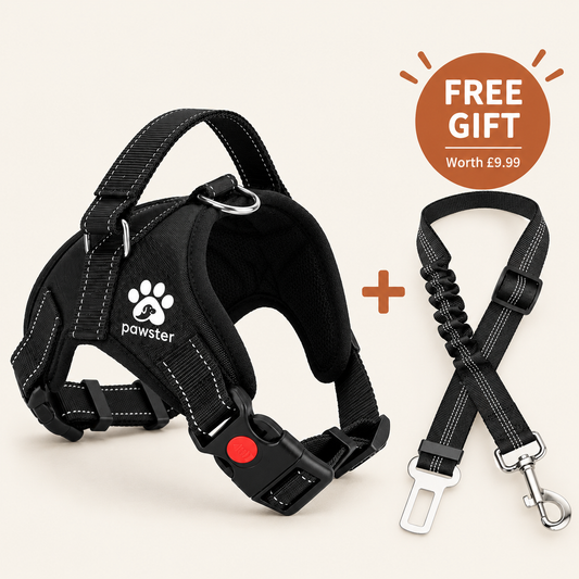 Pawster No-Pull Dog Harness + Free Car Seatbelt Clip